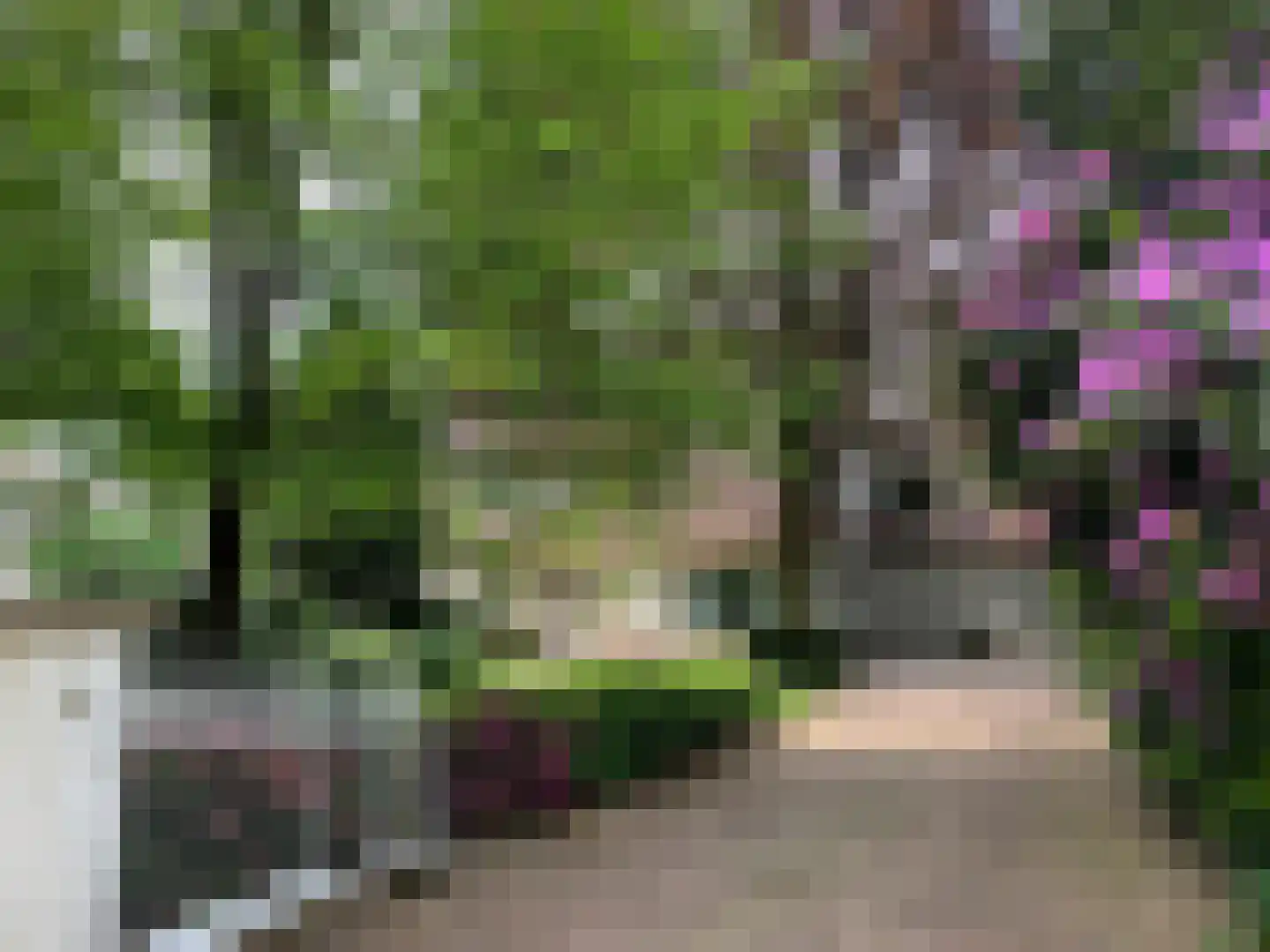 Blokvenlaan 47 Waalre thumbnail 8