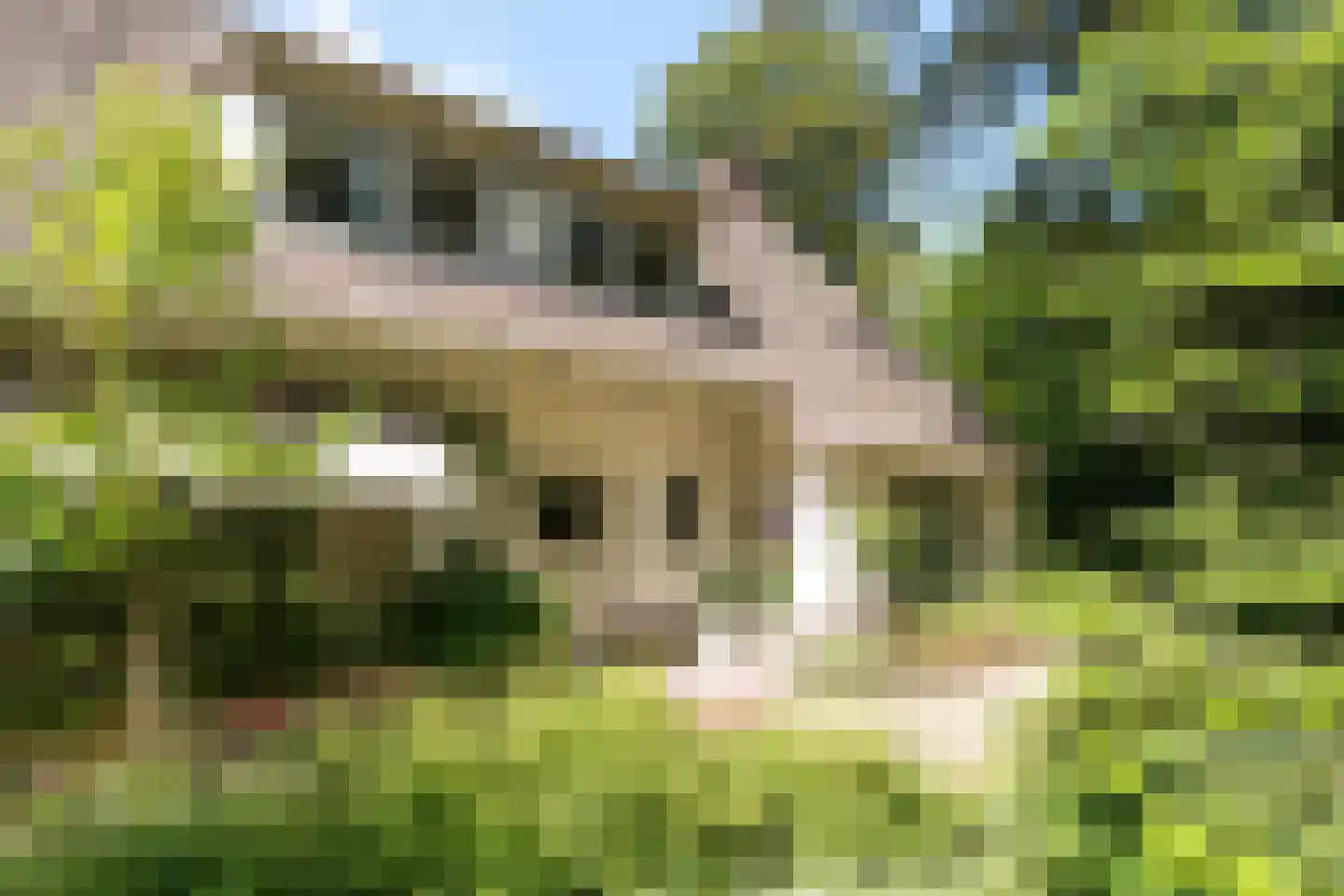 Blokvenlaan 47 Waalre thumbnail 8