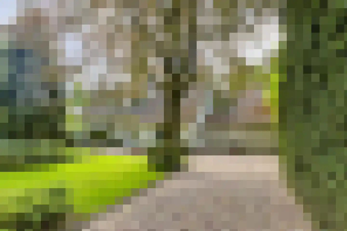 Blokvenlaan 47 Waalre thumbnail 9