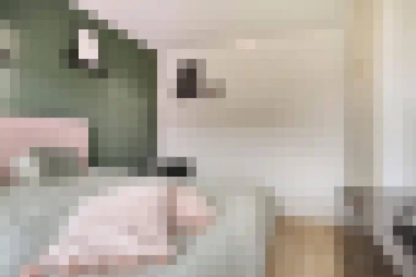 Blokvucht 11 Breda thumbnail 16
