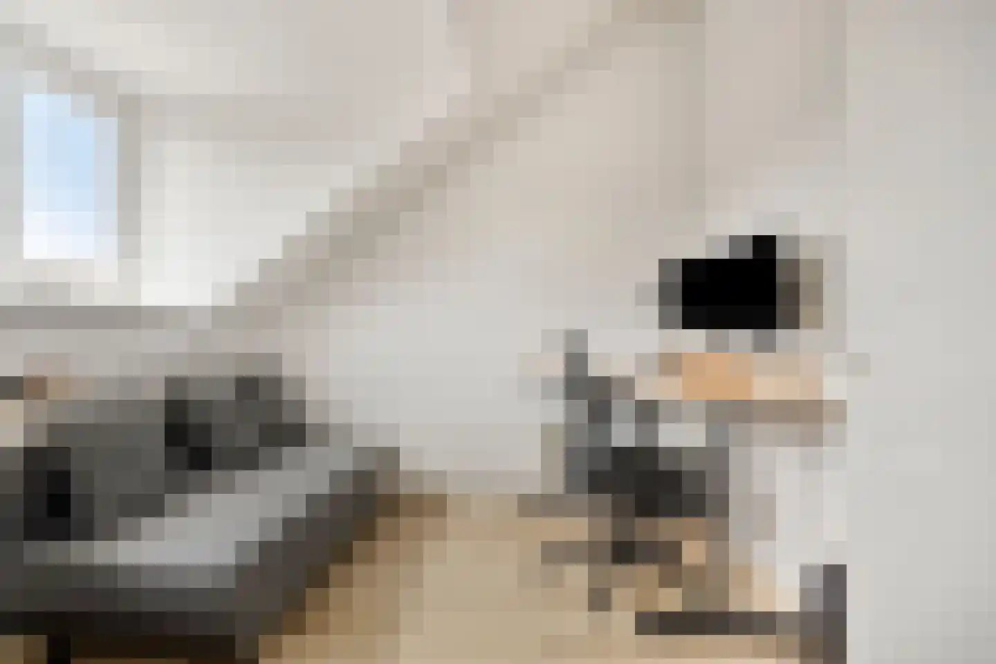 Blokvucht 11 Breda thumbnail 24