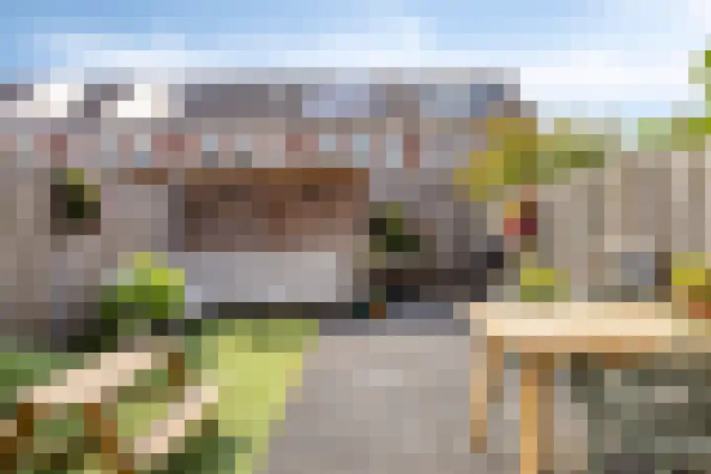 Blokvucht 11 Breda thumbnail 25