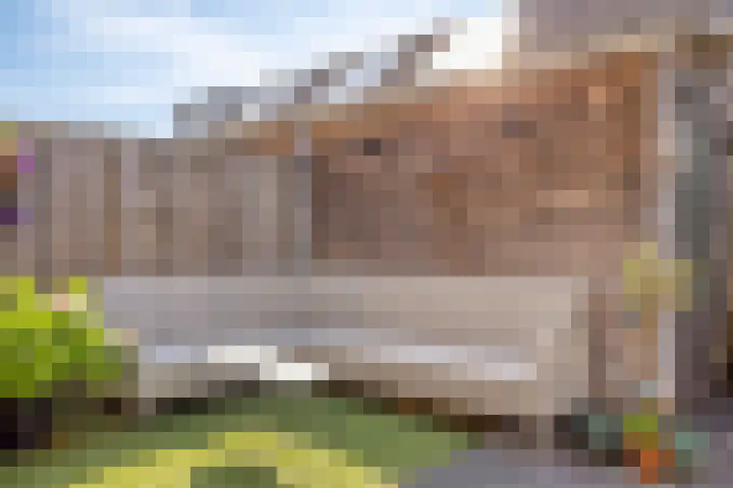 Blokvucht 11 Breda thumbnail 27