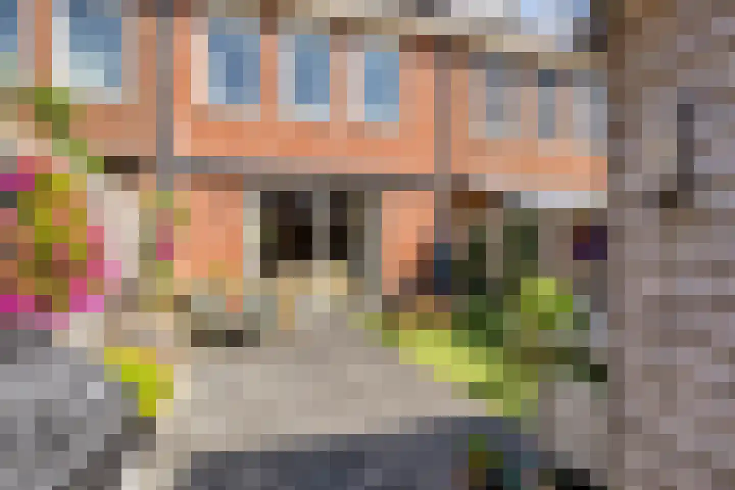 Blokvucht 11 Breda thumbnail 28