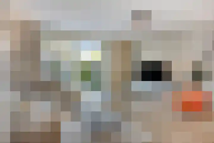 Blokvucht 22 Breda thumbnail 10