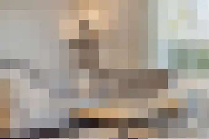 Blokvucht 22 Breda thumbnail 12