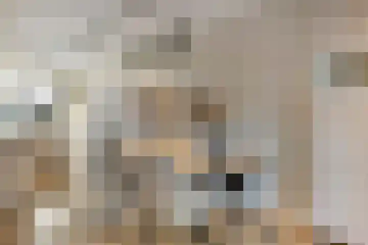 Blokvucht 22 Breda thumbnail 13