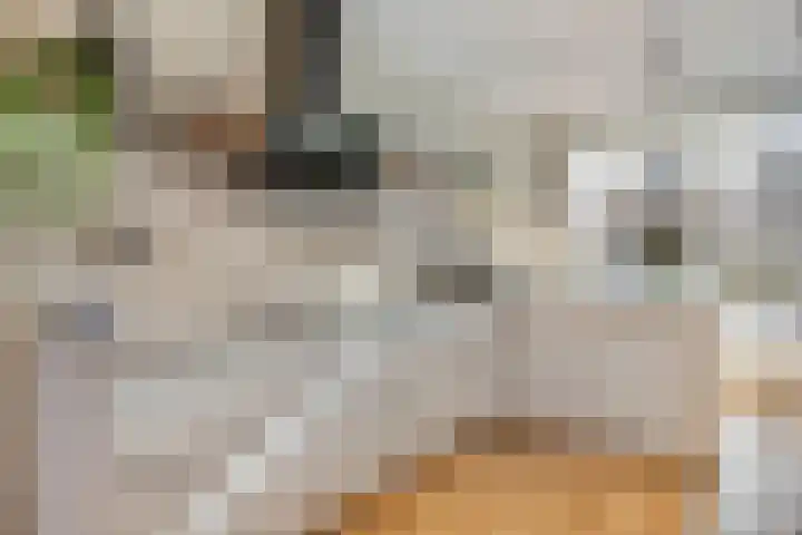 Blokvucht 22 Breda thumbnail 15