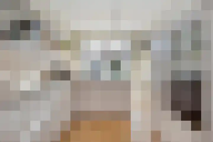 Blokvucht 22 Breda thumbnail 16
