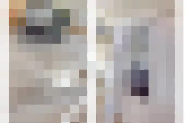 Blokvucht 22 Breda thumbnail 17