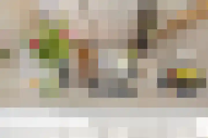 Blokvucht 22 Breda thumbnail 18