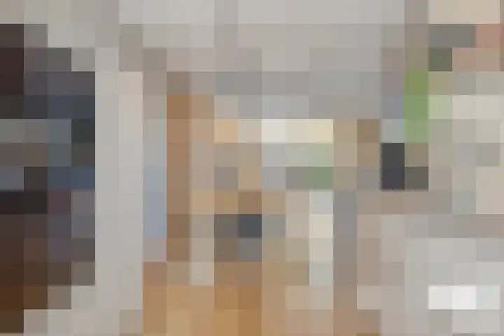 Blokvucht 22 Breda thumbnail 19
