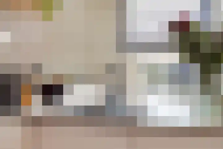 Blokvucht 22 Breda thumbnail 20