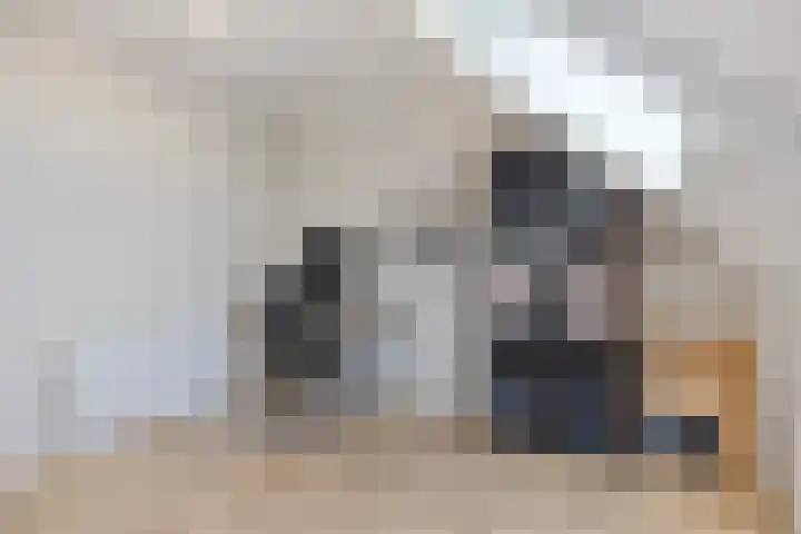 Blokvucht 22 Breda thumbnail 33