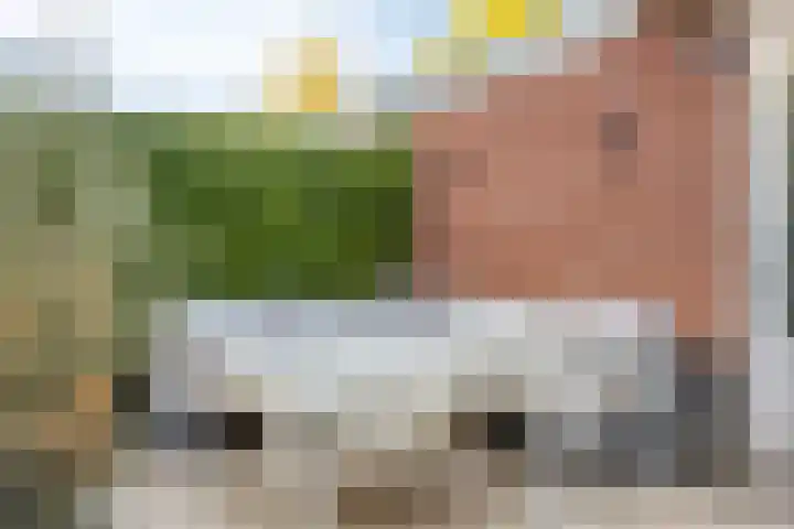 Blokvucht 22 Breda thumbnail 37