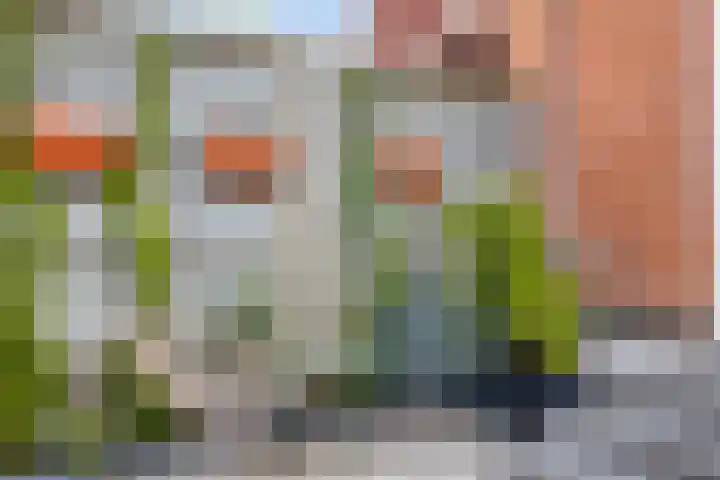 Blokvucht 22 Breda thumbnail 38