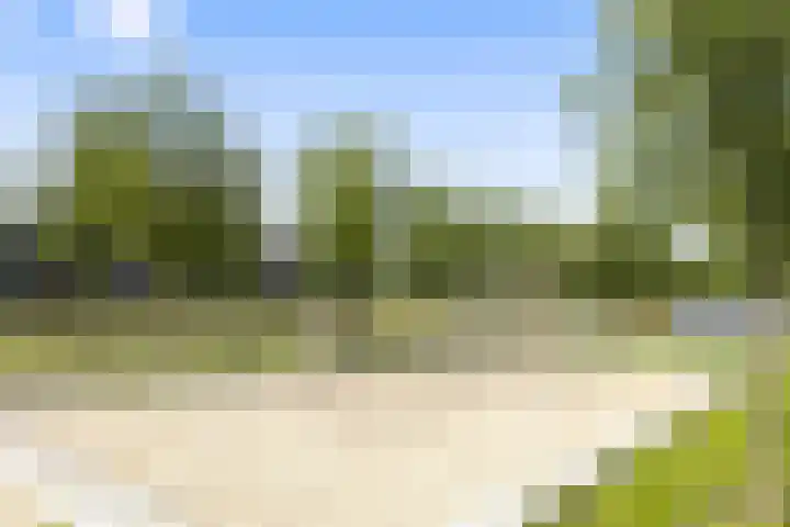 Blokvucht 22 Breda thumbnail 41