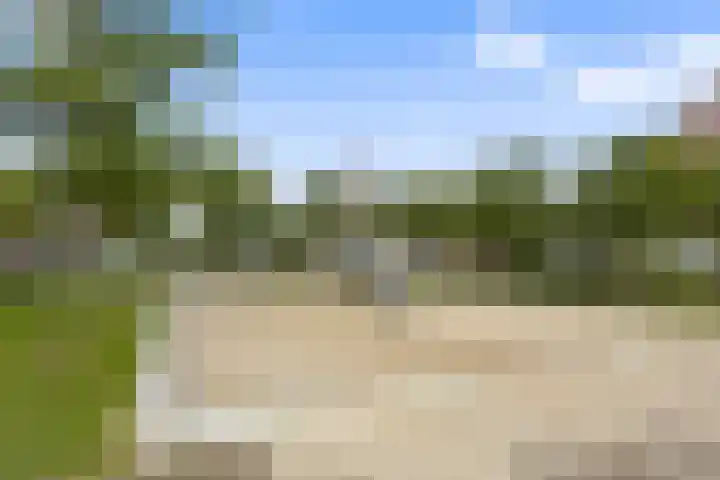 Blokvucht 22 Breda thumbnail 42