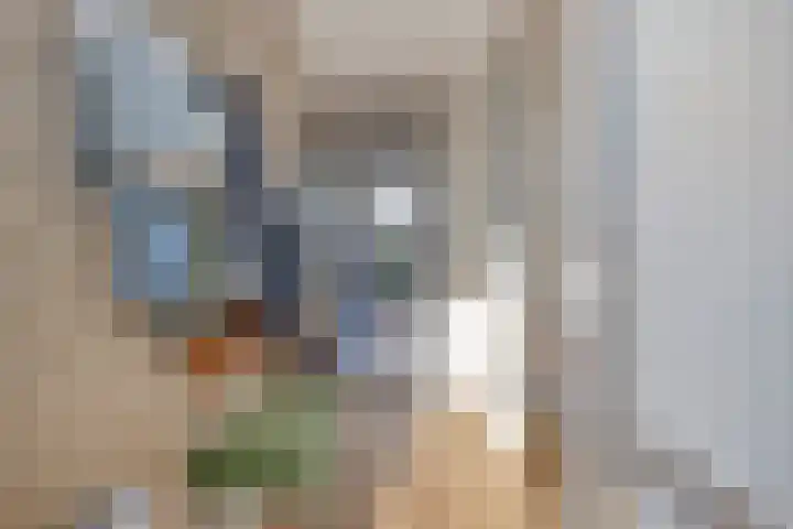 Blokvucht 22 Breda thumbnail 6