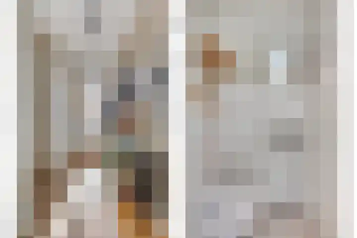 Blokvucht 22 Breda thumbnail 7
