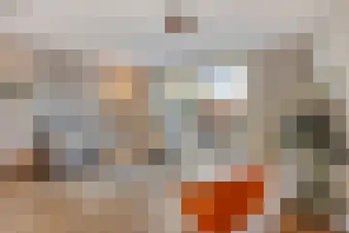Blokvucht 22 Breda thumbnail 8