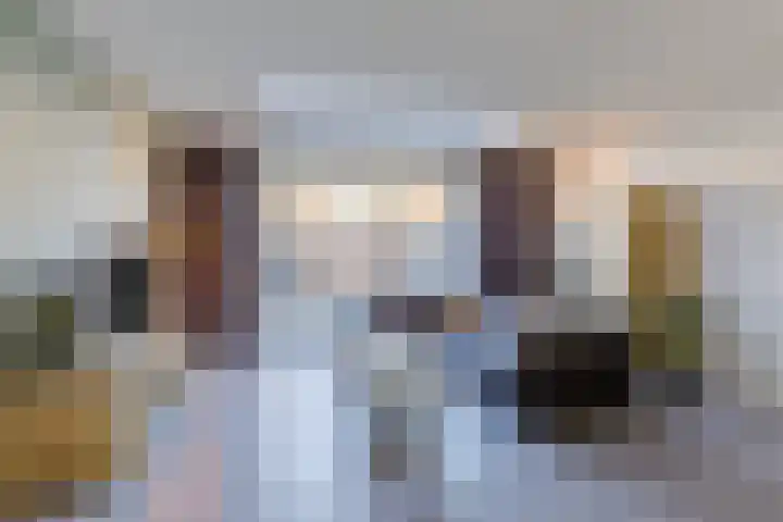 Blokvucht 32 Breda thumbnail 10