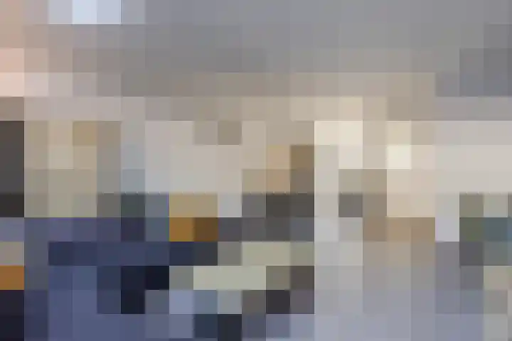 Blokvucht 32 Breda thumbnail 11