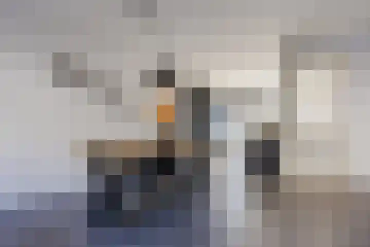 Blokvucht 32 Breda thumbnail 13