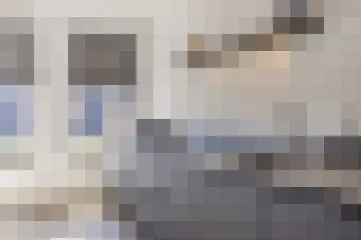 Blokvucht 32 Breda thumbnail 16