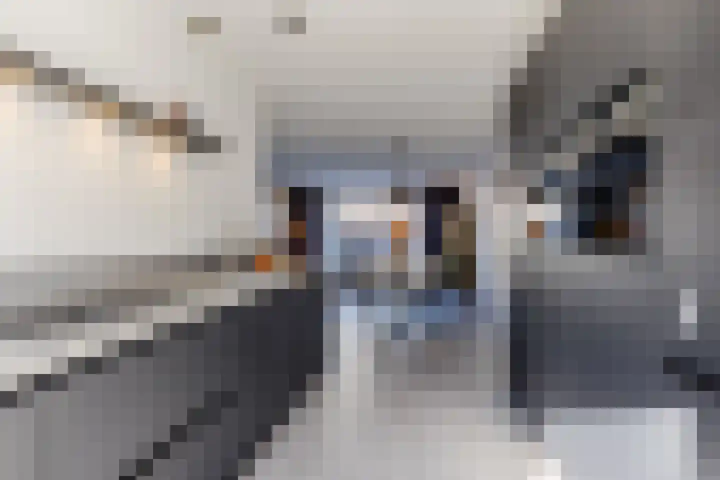 Blokvucht 32 Breda thumbnail 17