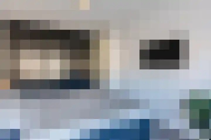 Blokvucht 32 Breda thumbnail 19