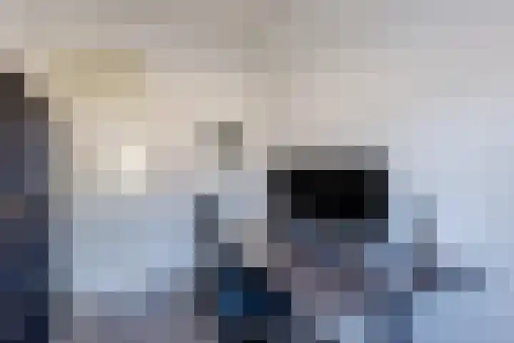 Blokvucht 32 Breda thumbnail 23