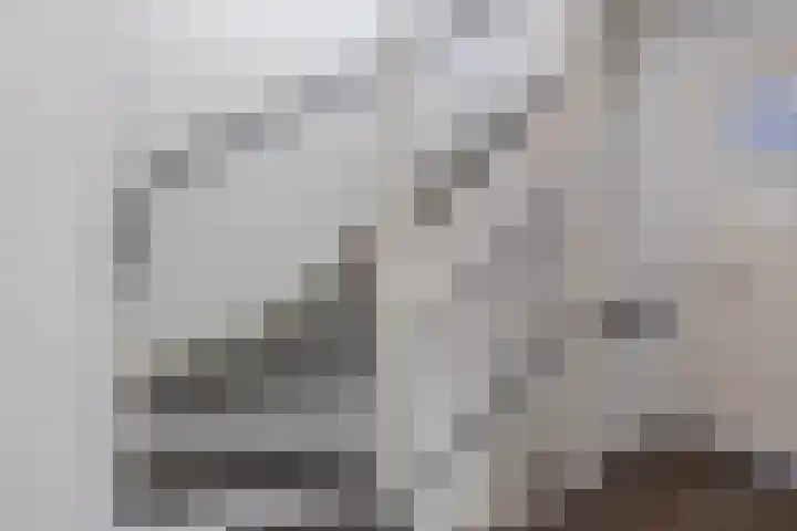 Blokvucht 32 Breda thumbnail 27