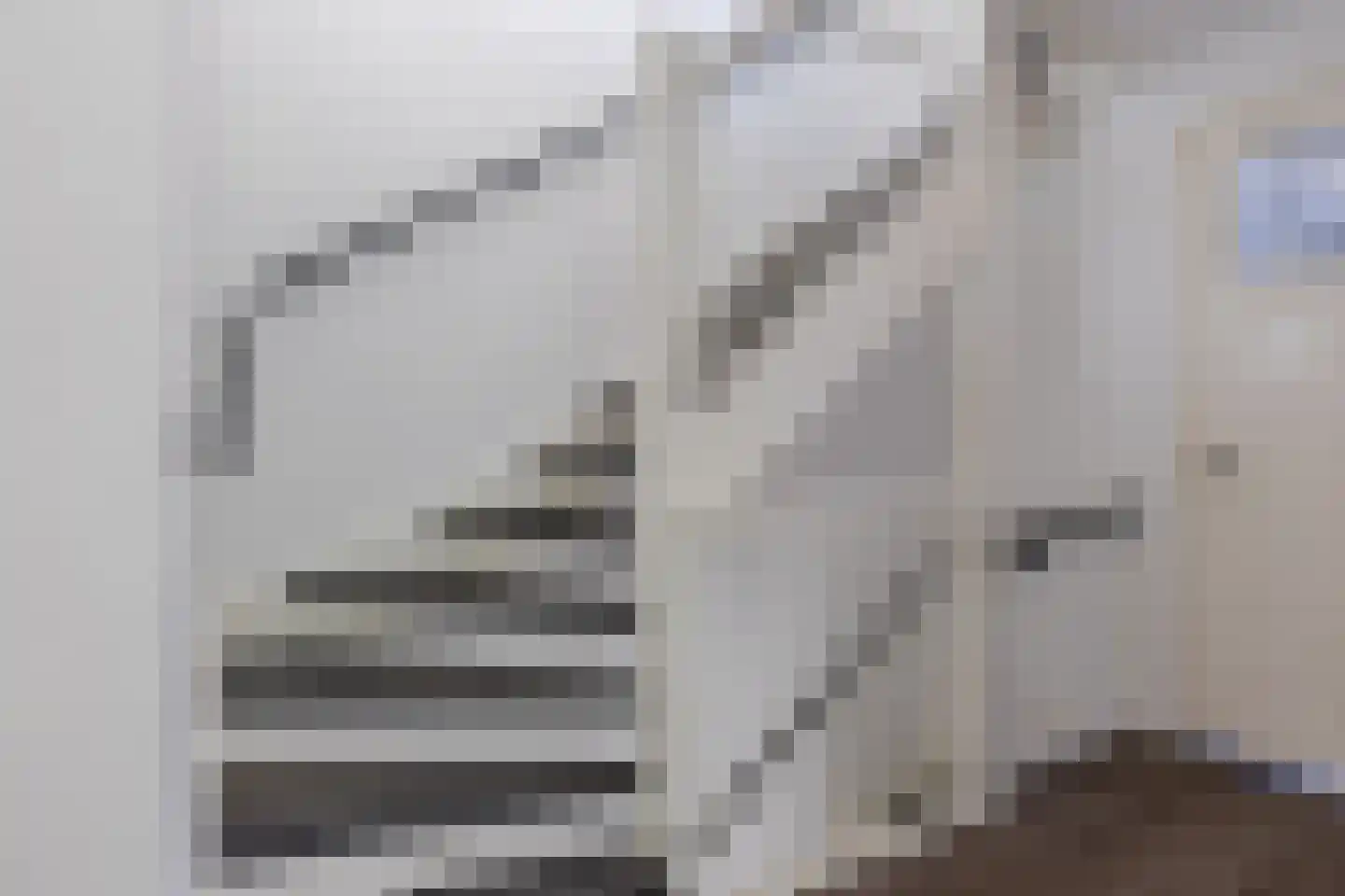 Blokvucht 32 Breda thumbnail 27