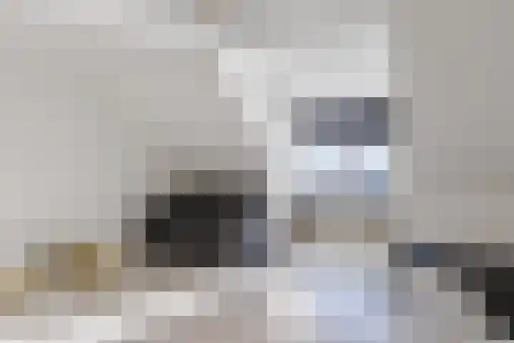 Blokvucht 32 Breda thumbnail 28