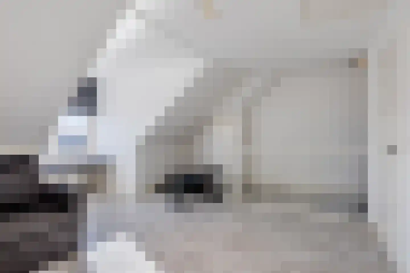 Blokvucht 32 Breda thumbnail 29