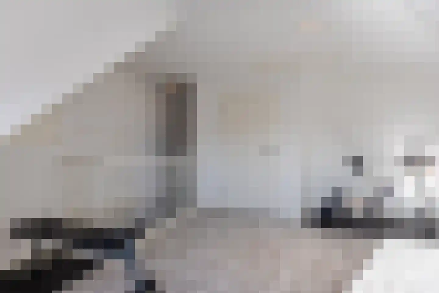 Blokvucht 32 Breda thumbnail 30