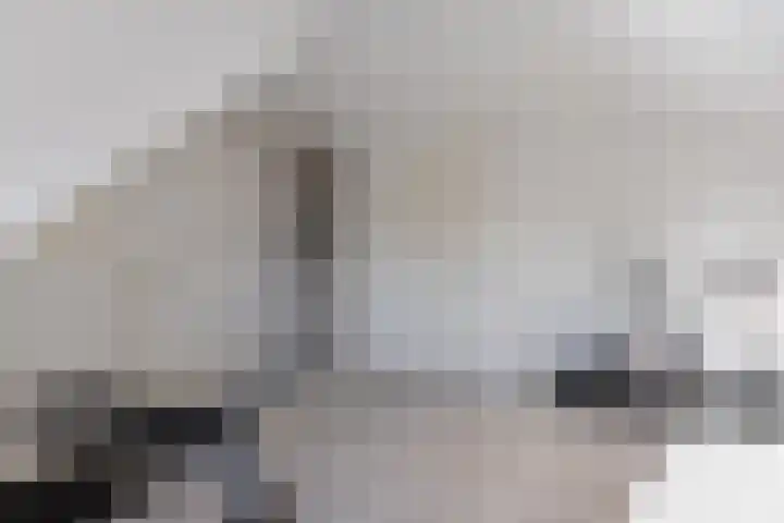 Blokvucht 32 Breda thumbnail 30