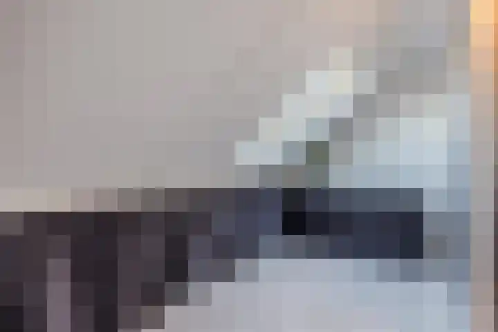 Blokvucht 32 Breda thumbnail 31