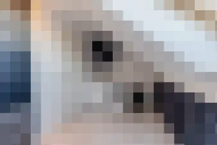 Blokvucht 32 Breda thumbnail 32