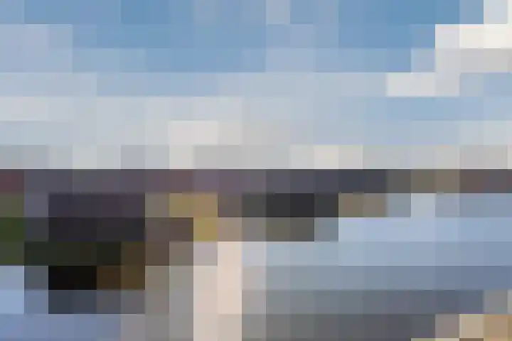 Blokvucht 32 Breda thumbnail 40