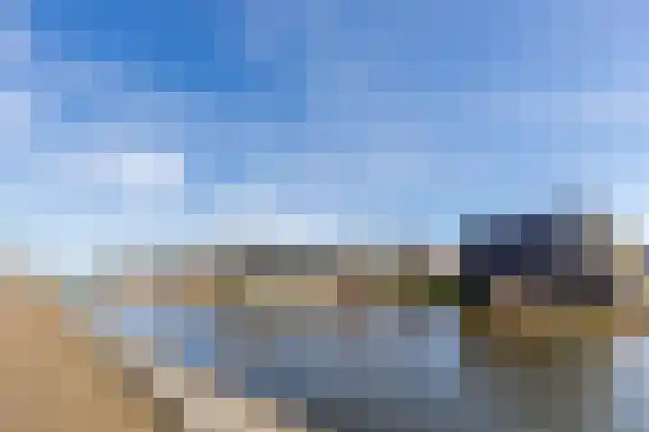 Blokvucht 32 Breda thumbnail 41