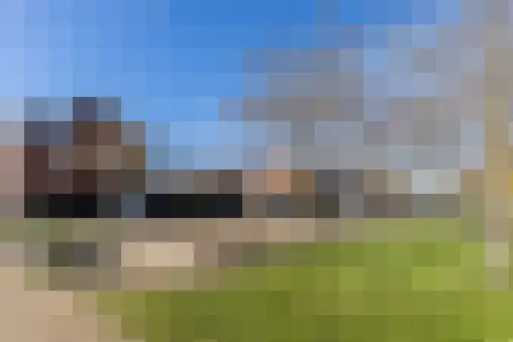 Blokvucht 32 Breda thumbnail 42