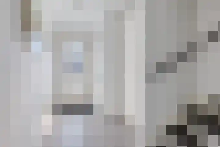 Blokvucht 32 Breda thumbnail 8