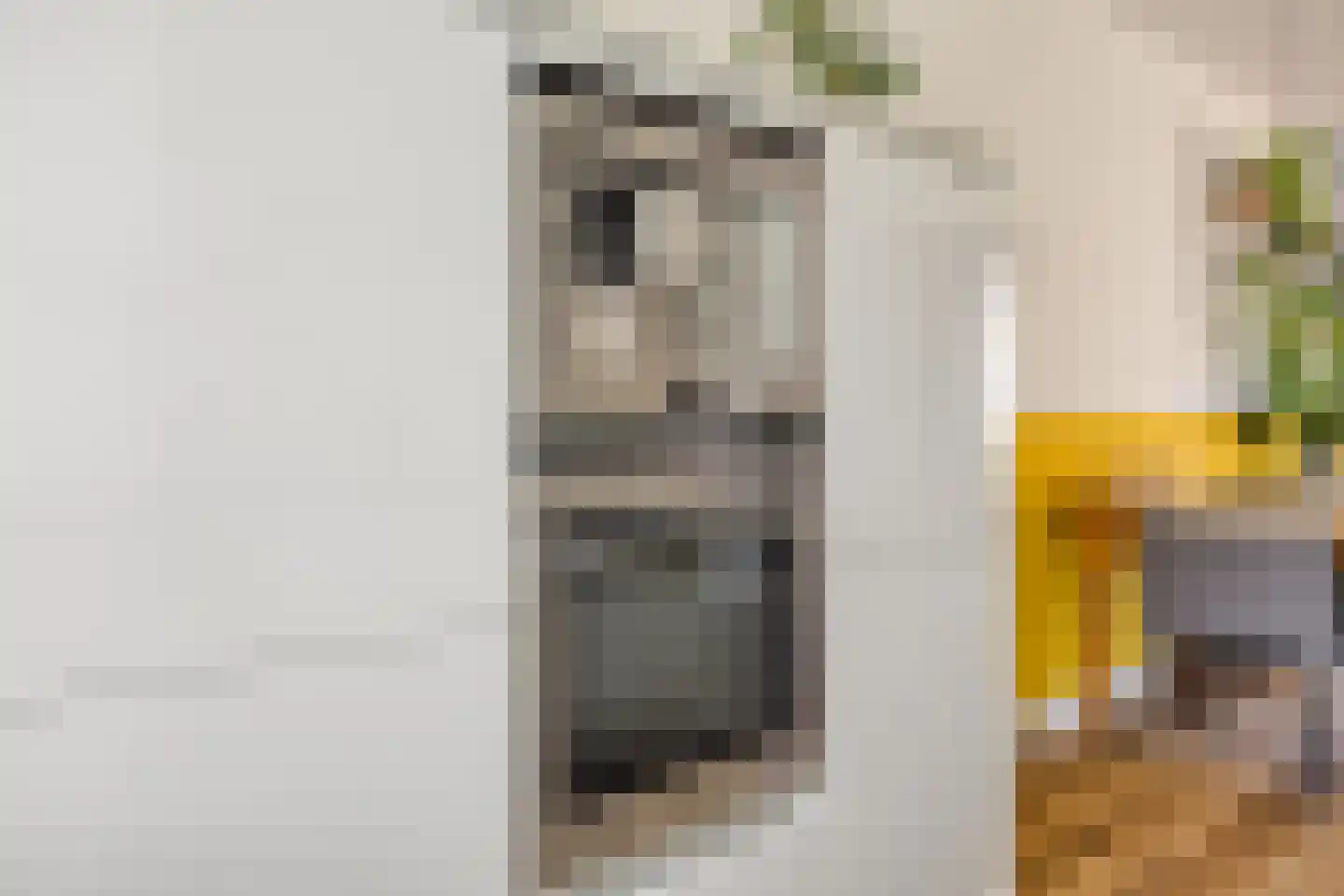 Blokvucht 33 Breda thumbnail 12