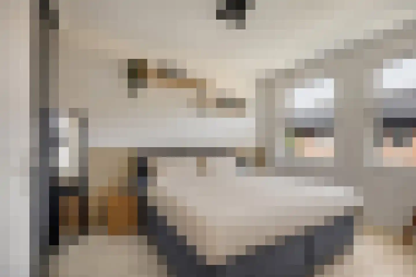 Blokvucht 33 Breda thumbnail 18