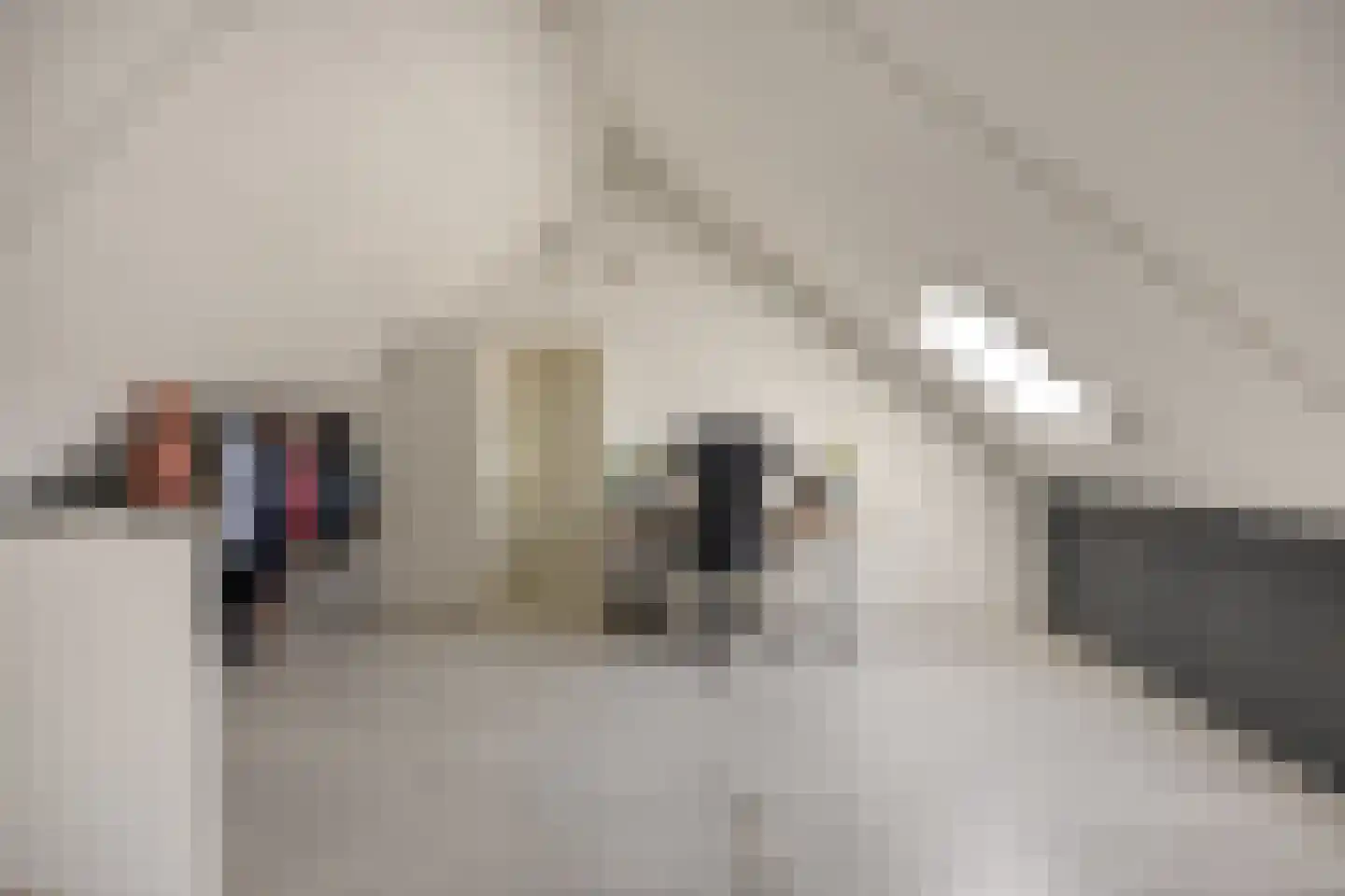 Blokvucht 33 Breda thumbnail 25