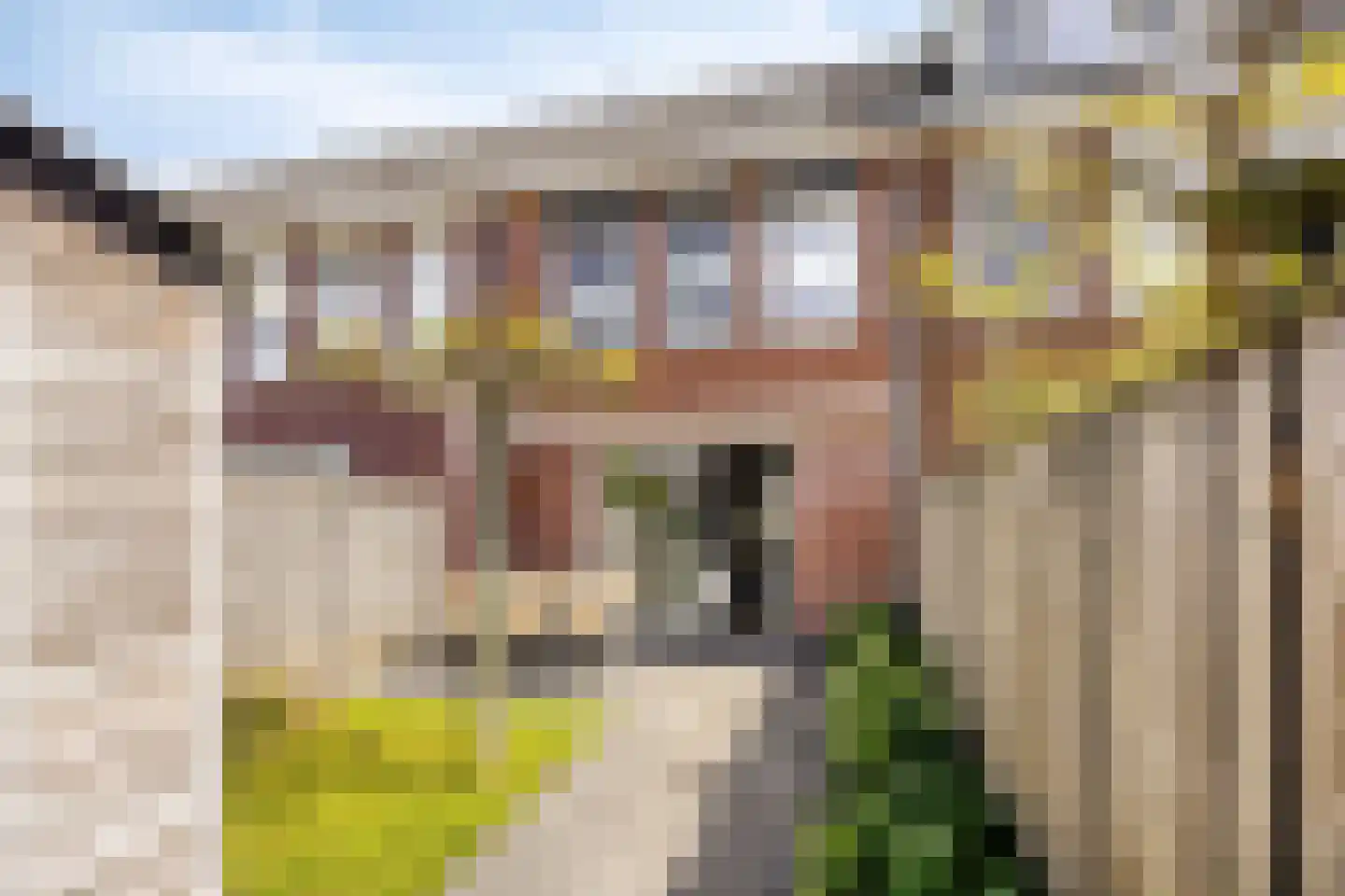 Blokvucht 33 Breda thumbnail 28