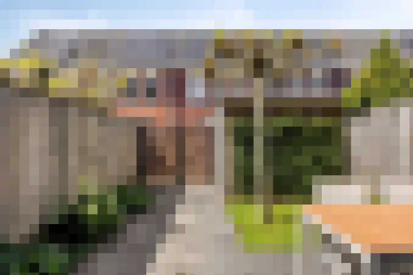 Blokvucht 33 Breda thumbnail 29