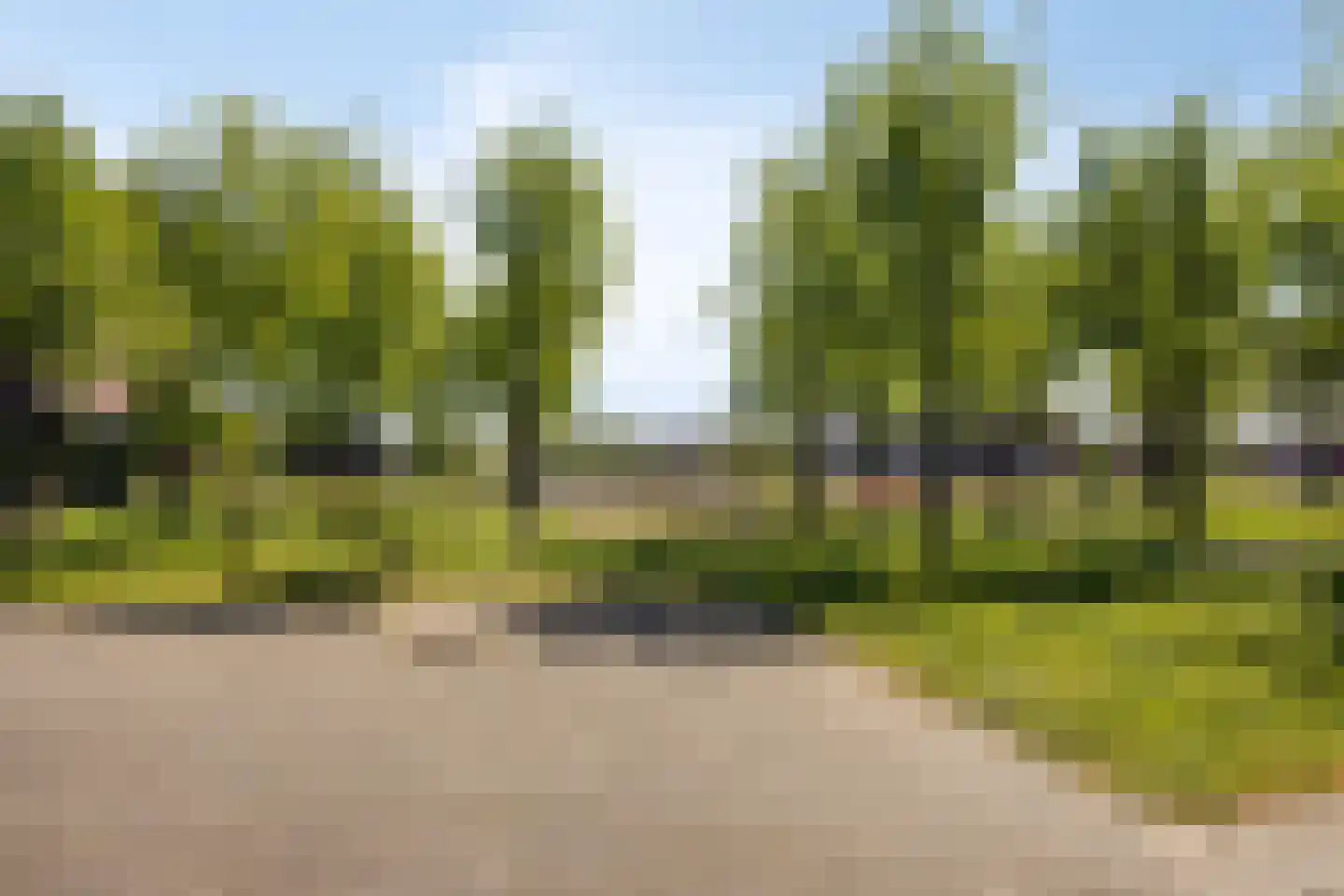Blokvucht 33 Breda thumbnail 30